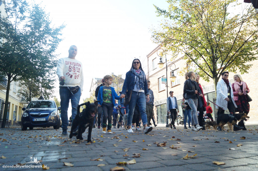 Przemarsz adopciaków przez Śródmieście