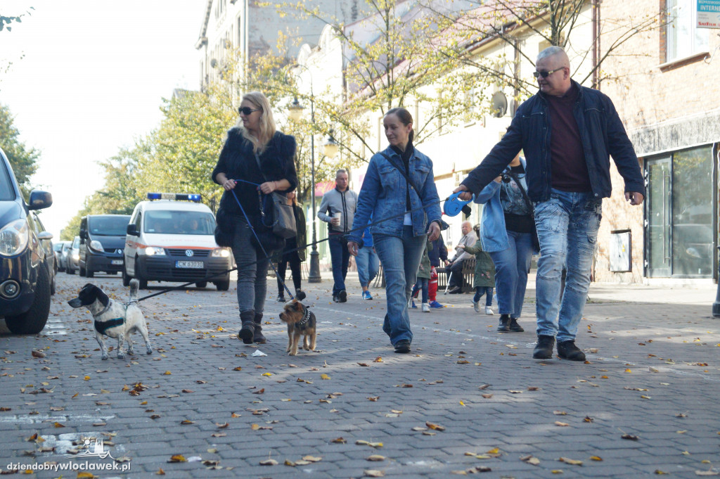 Przemarsz adopciaków przez Śródmieście