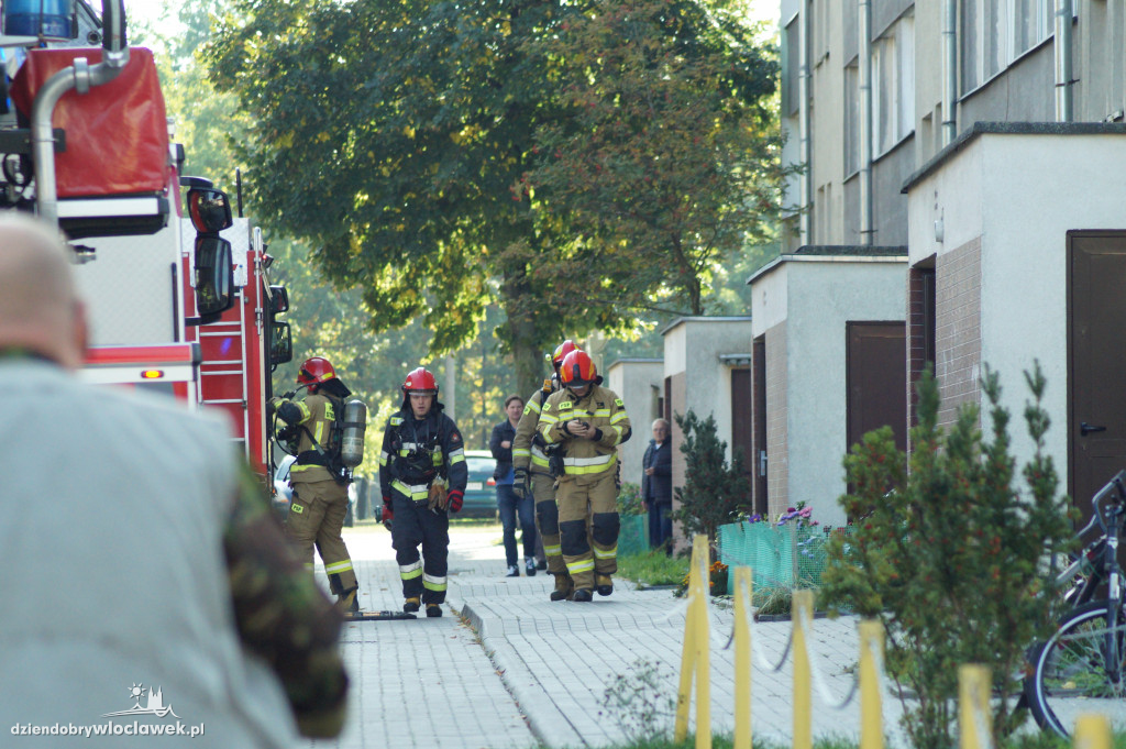 Strażacy interweniowali przy ul. Ostrowskiej