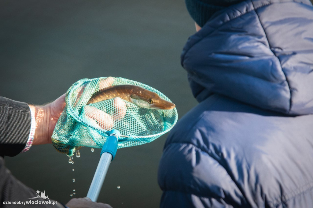 7. edycja akcji Pan Karp zarybia Wisłę
