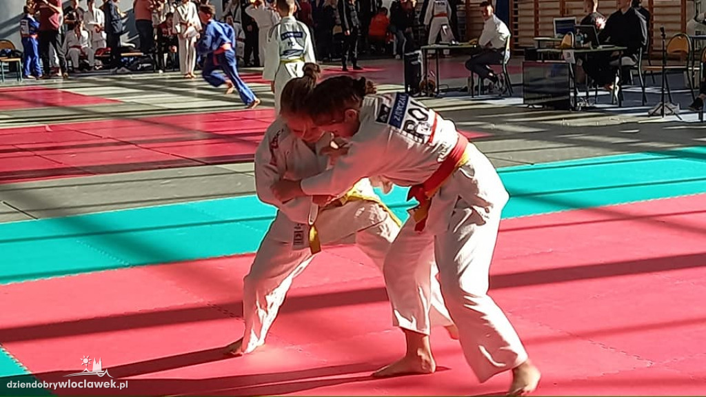 Grad medali włocławskich sportowców