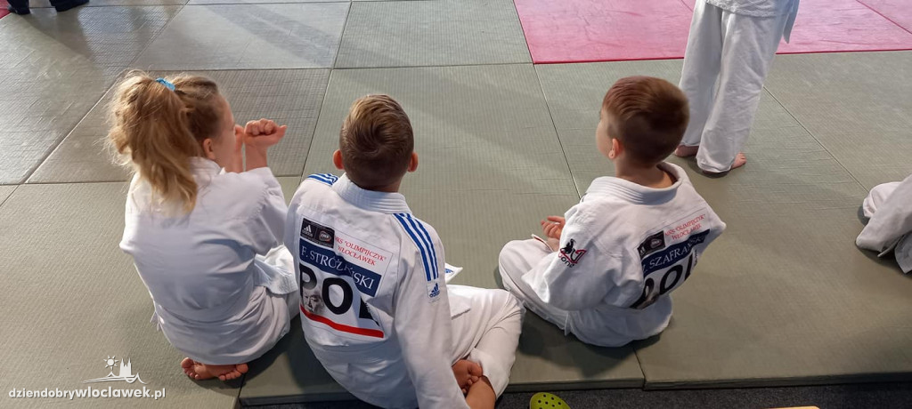 Grad medali włocławskich sportowców