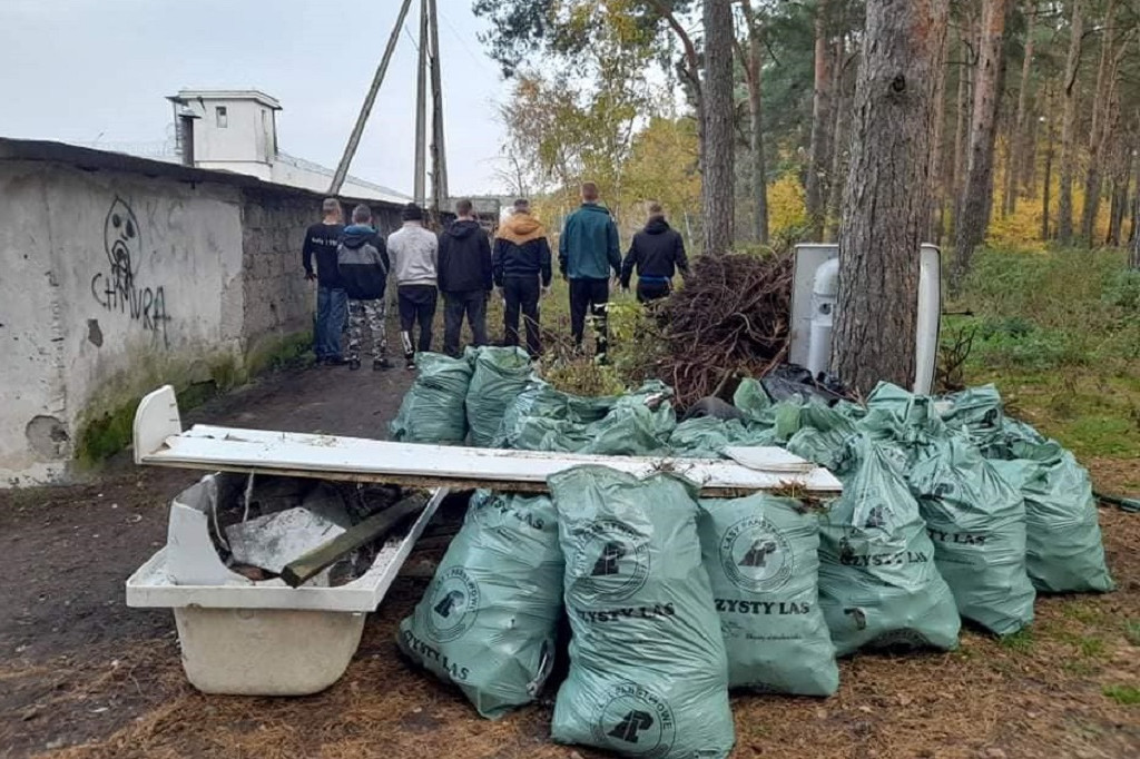 Więźniowie posprzątali las