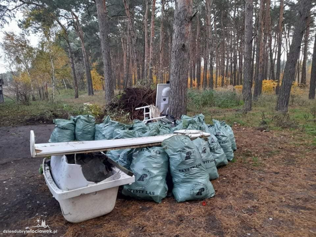 Więźniowie posprzątali las