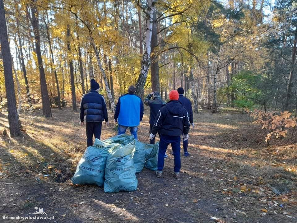 Więźniowie posprzątali las
