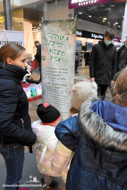 Pomagamy zwierzakom we Wzorcowni
