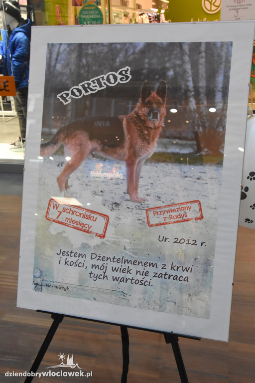 Pomagamy zwierzakom we Wzorcowni