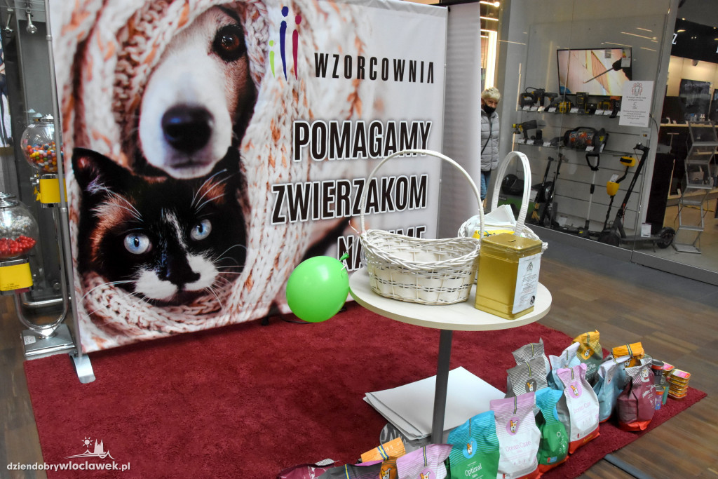 Pomagamy zwierzakom we Wzorcowni