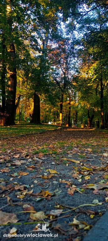 Jesień w obiektywie włocławianina