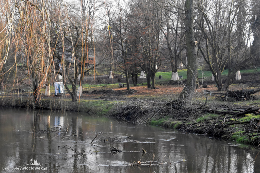 Rewitalizacja w parku Sienkiewicza
