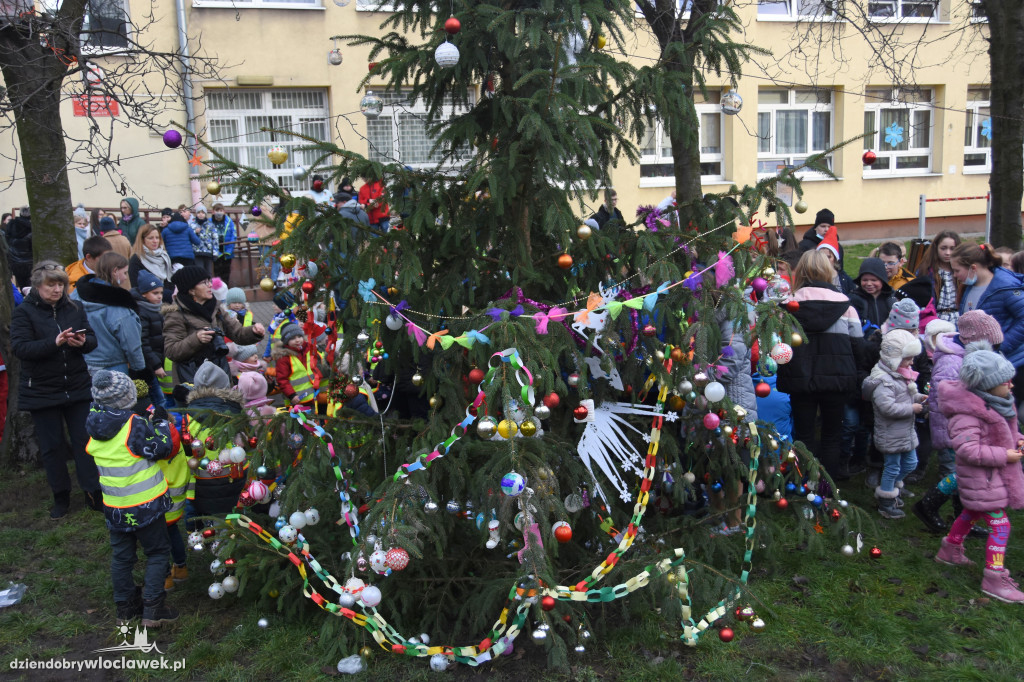 Ubieranie śródmiejskiej choinki