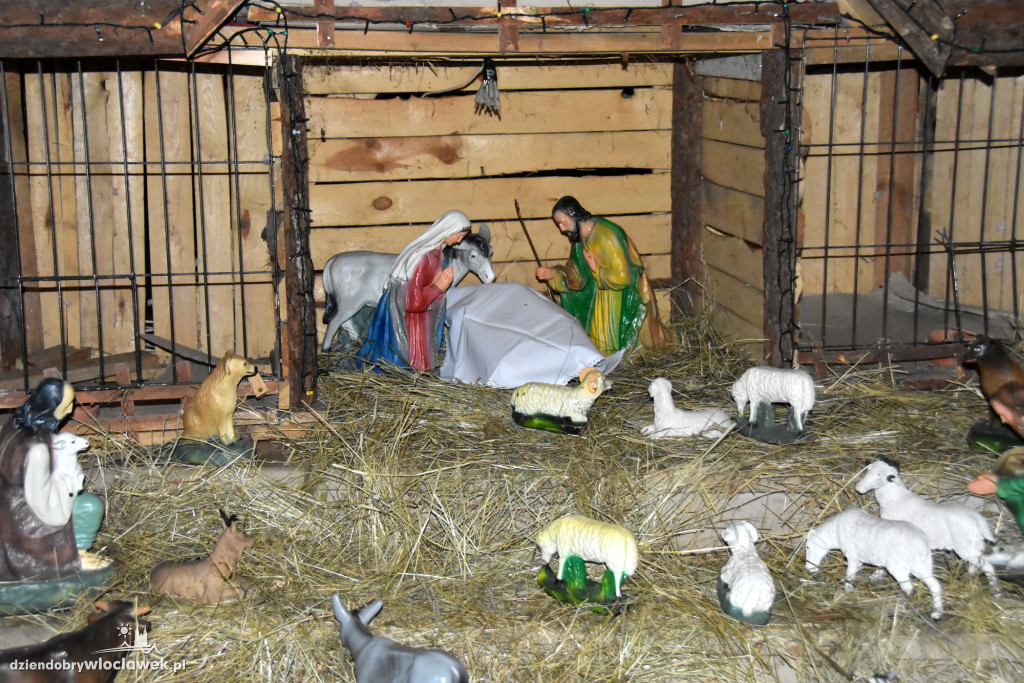 Szopki w kościołach we Włocławku