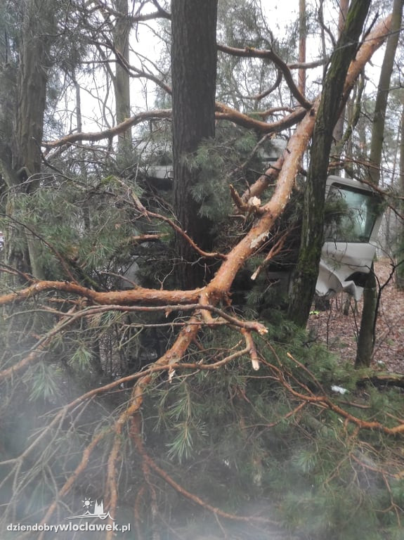 Wypadek na trasie Pikutkowo - Włocławek