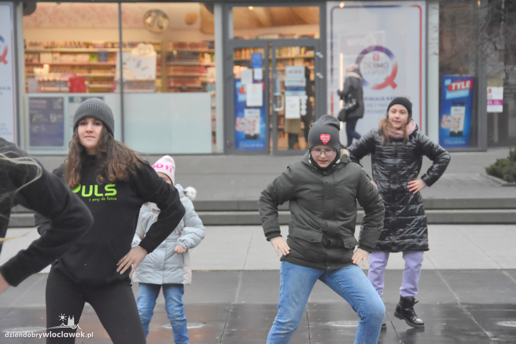 WOŚP w Centrum Handlowym Wzorcownia