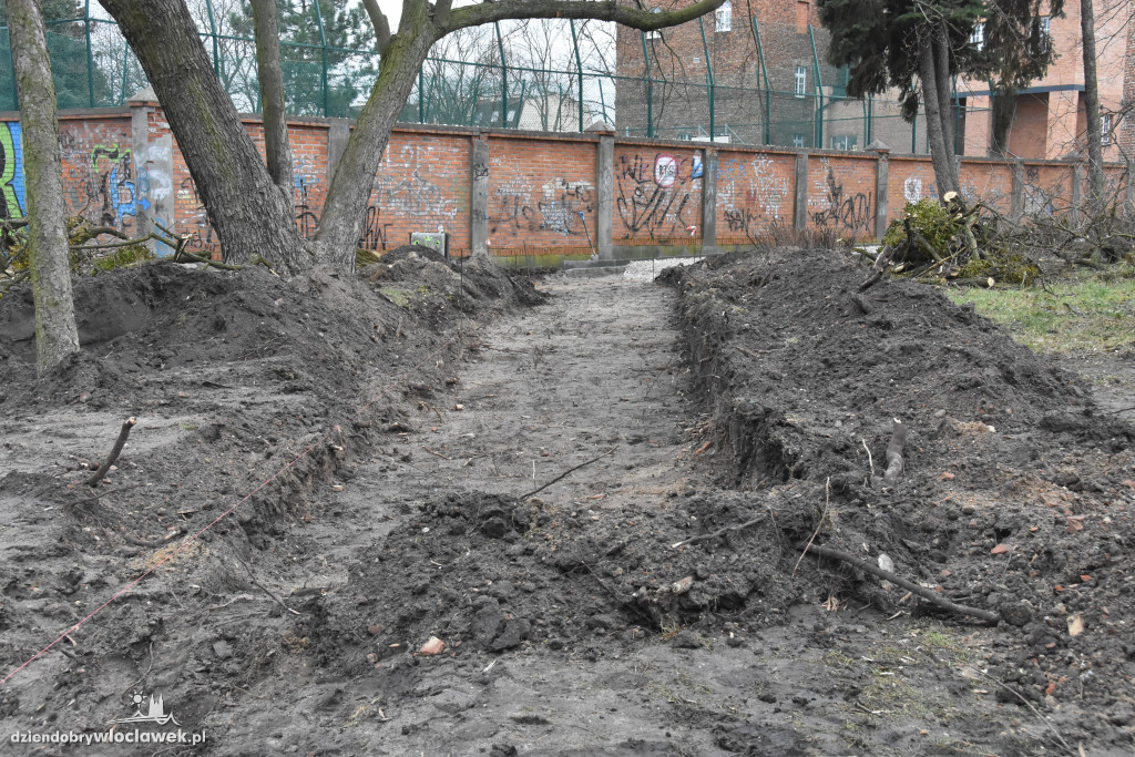 W parku powstaje nowy układ komunikacyjny