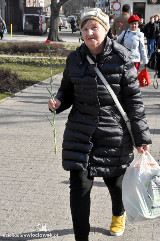 Goździk od Lewicy w Dzień Kobiet