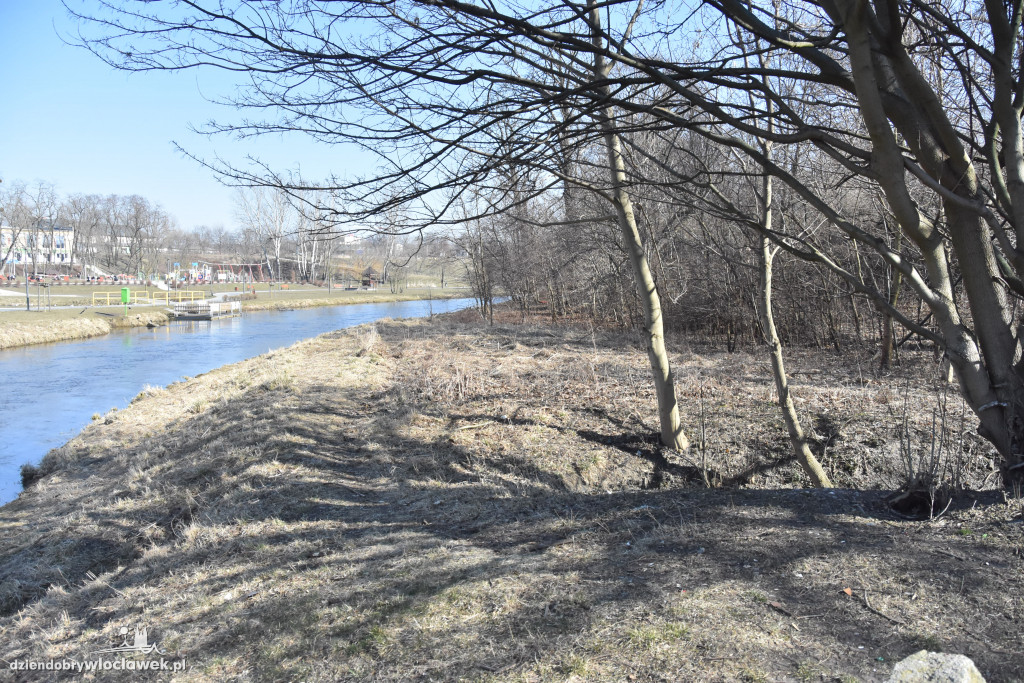 Tu powstaną plaża i kino plenerowe