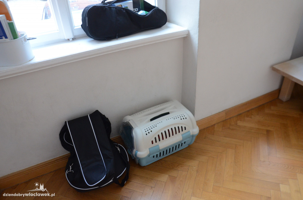 Dzień bez plecaka w LZK