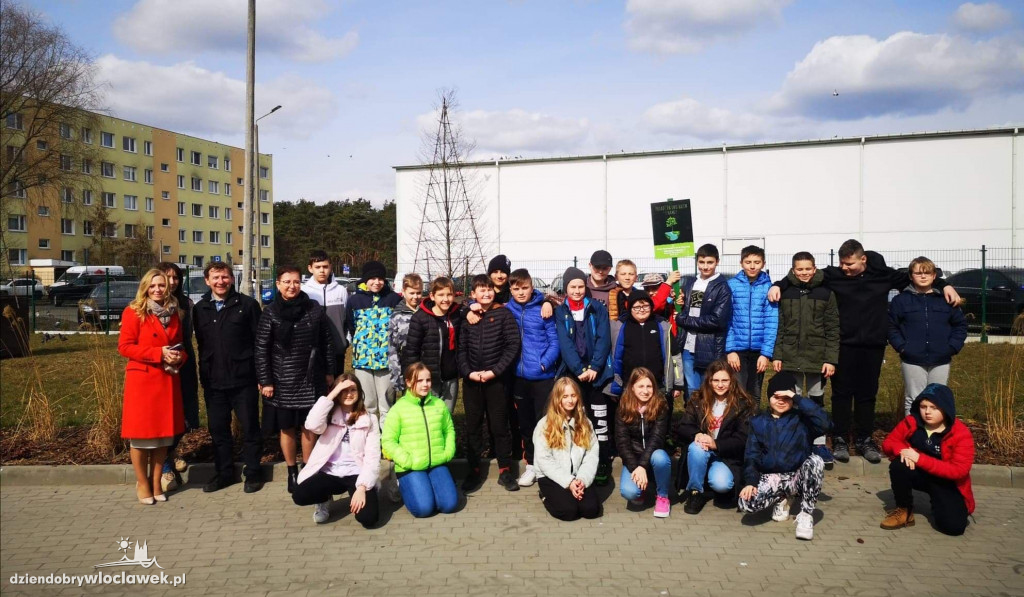 Nowe życie drzew sprzed Wzorcowni