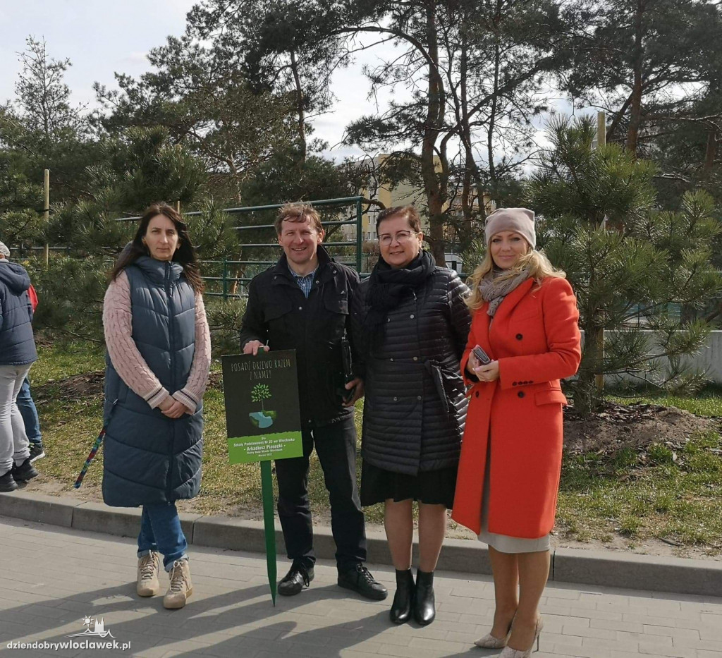 Nowe życie drzew sprzed Wzorcowni