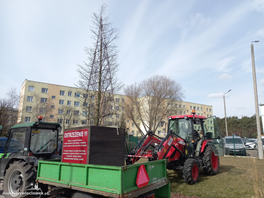 Nowe życie drzew sprzed Wzorcowni