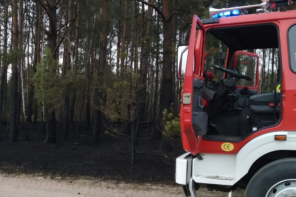 Pożar w lesie pod Włocławkiem