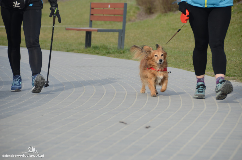 parkrun w Parku na Słodowie