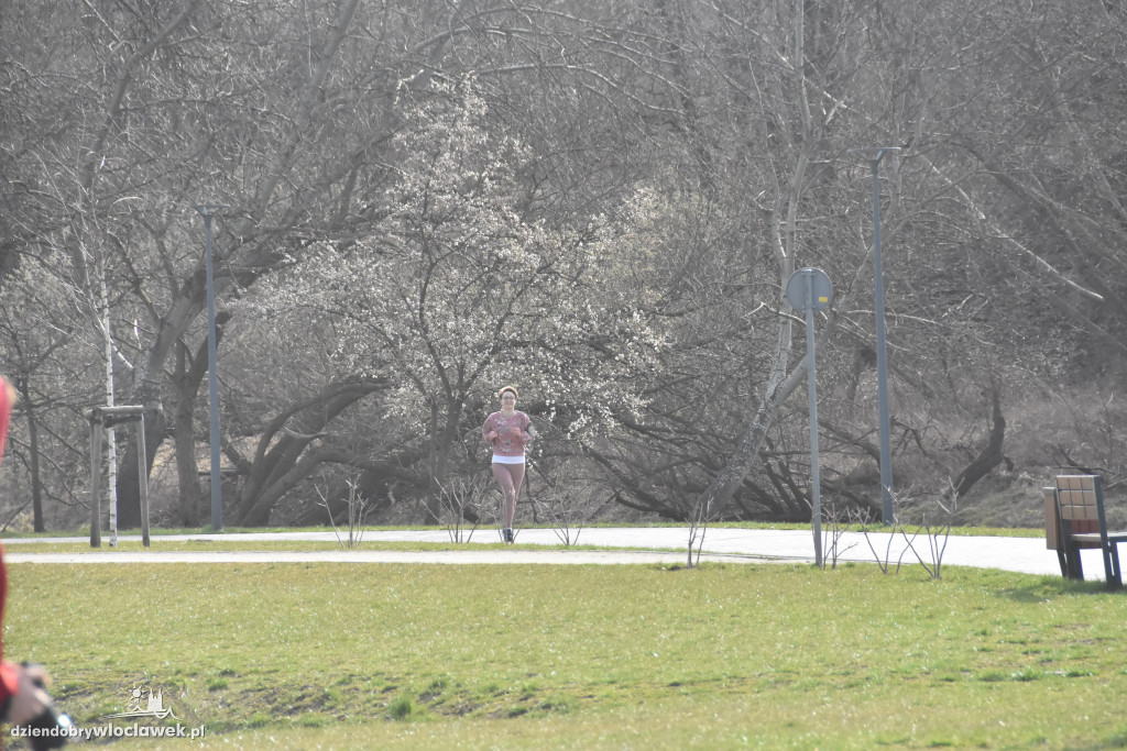 parkrun na Słodowie