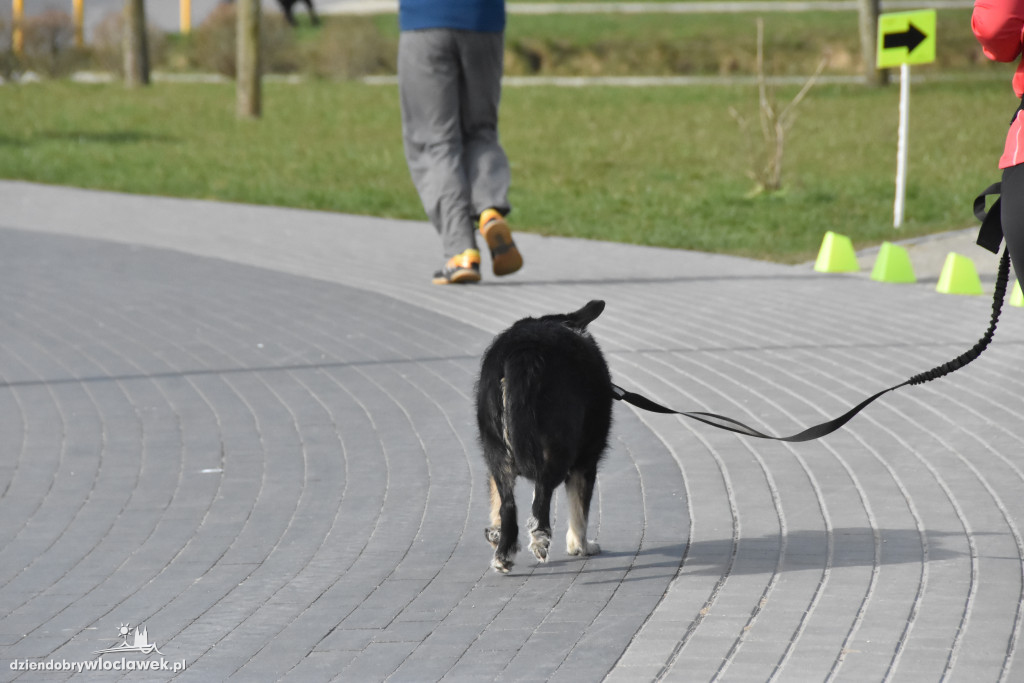 parkrun na Słodowie