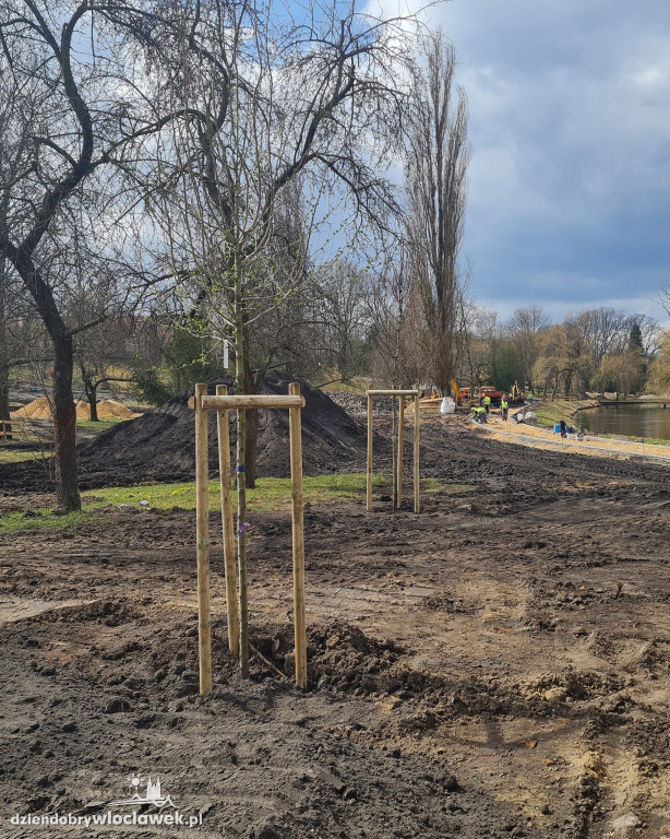Nowe drzewa w Parku Sienkieiwcza