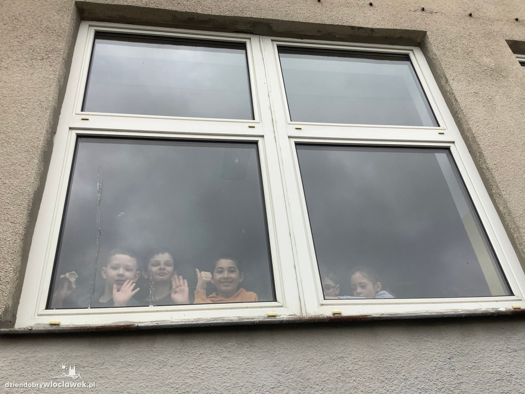 Przy SP 20 posadzili drzewa