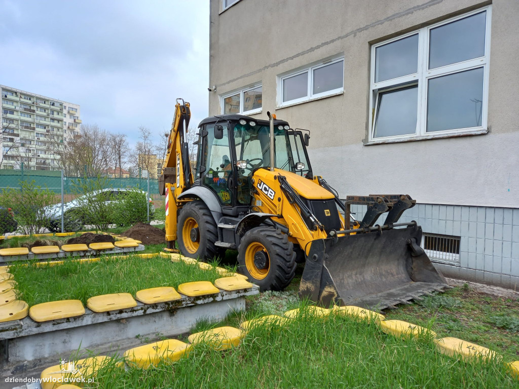 Przy SP 20 posadzili drzewa