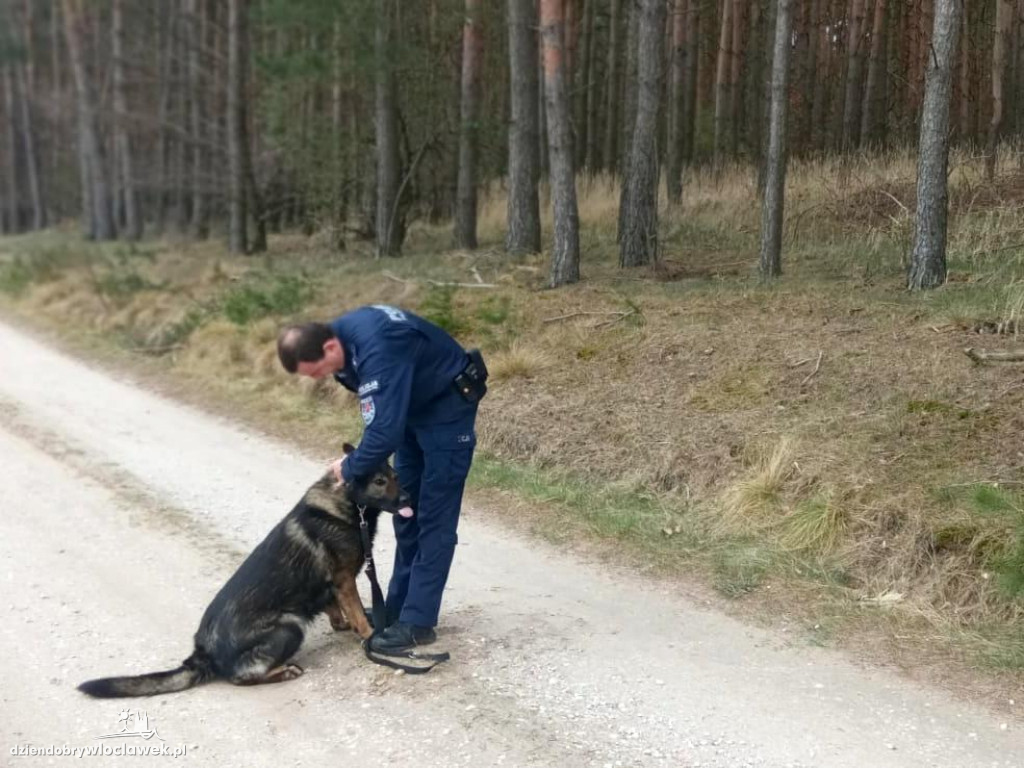 Dragon i Metyl nie odpuszczają