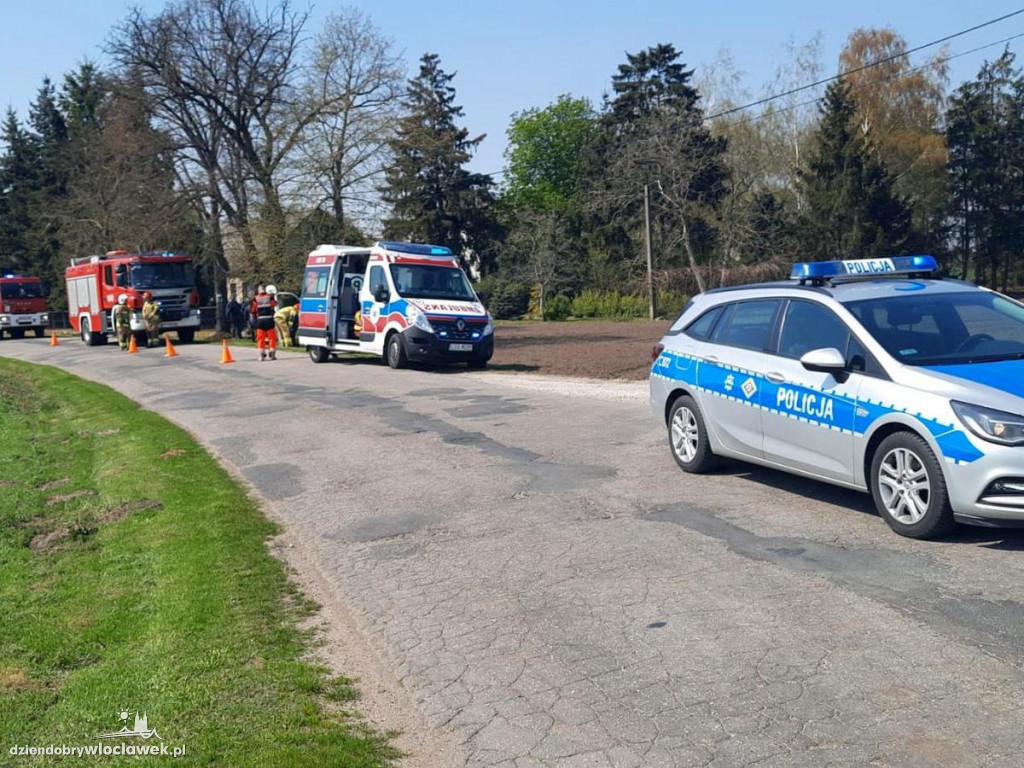 Wybrał drzewo zamiast dzików