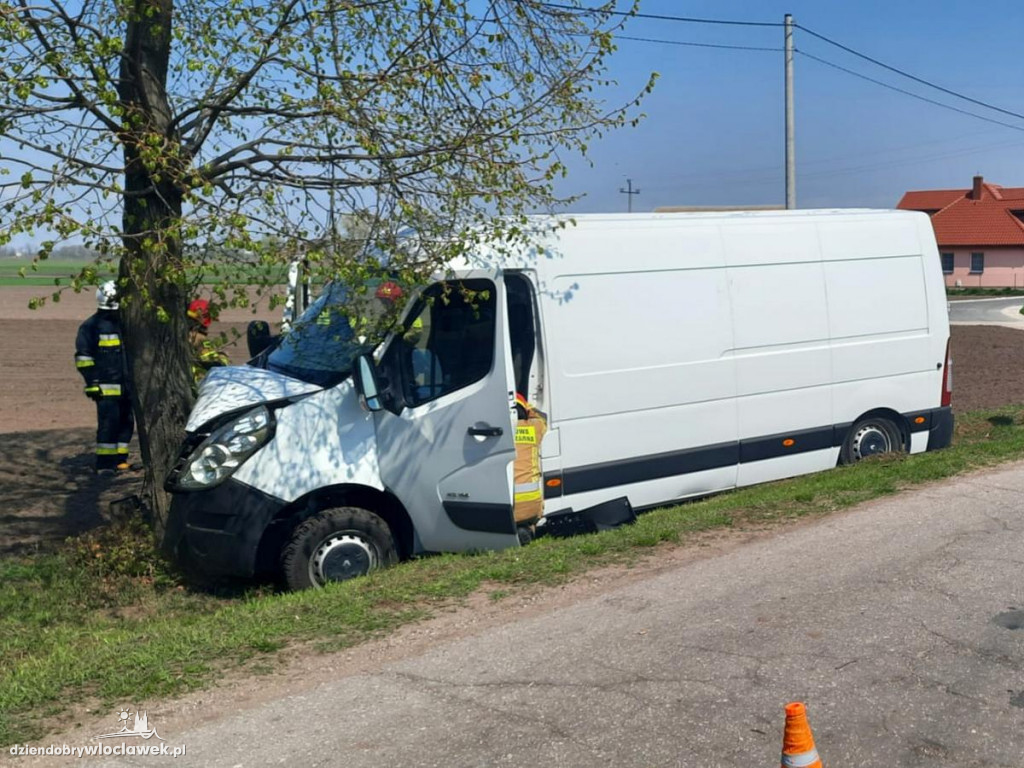 Wybrał drzewo zamiast dzików