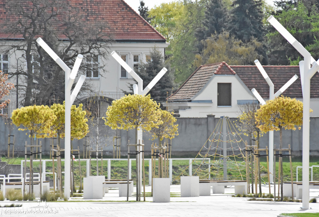 Wiosna we Włocławku - zrobiło się zielono