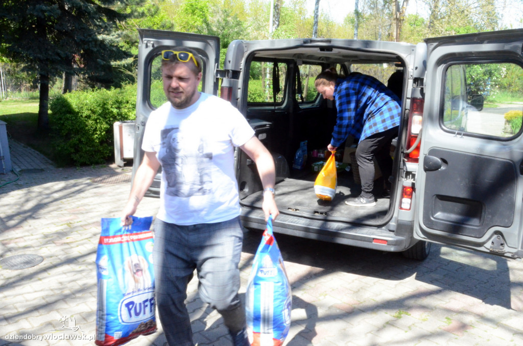Terazlipno.pl dla Schroniska dla zwierząt we Włocławku