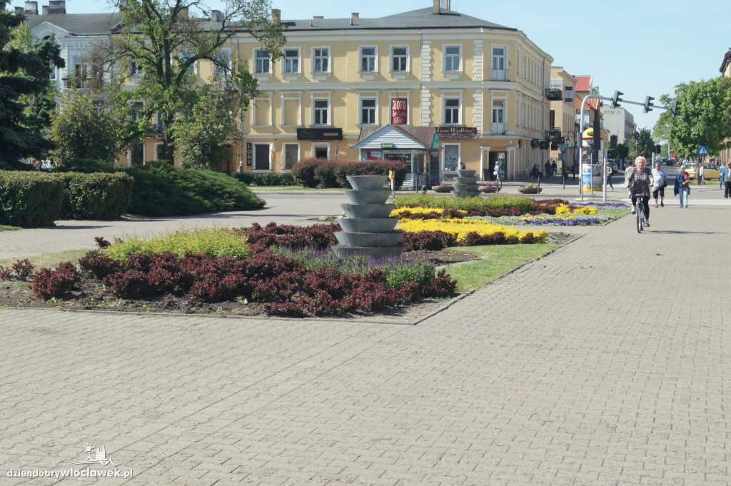 Nasadzenia kwiatowe na Placu Wolności