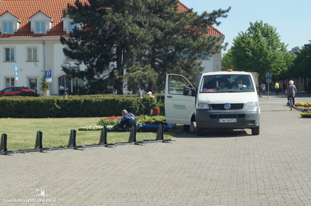 Nasadzenia kwiatowe na Placu Wolności