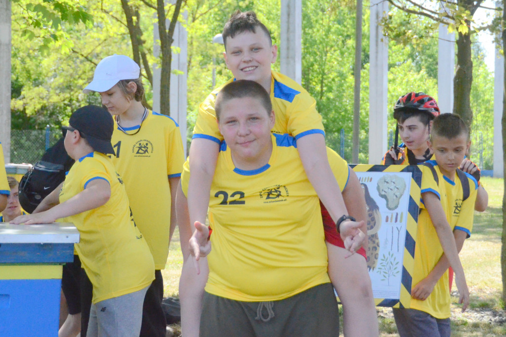 Tak żyją pszczoły przy MPEC-u