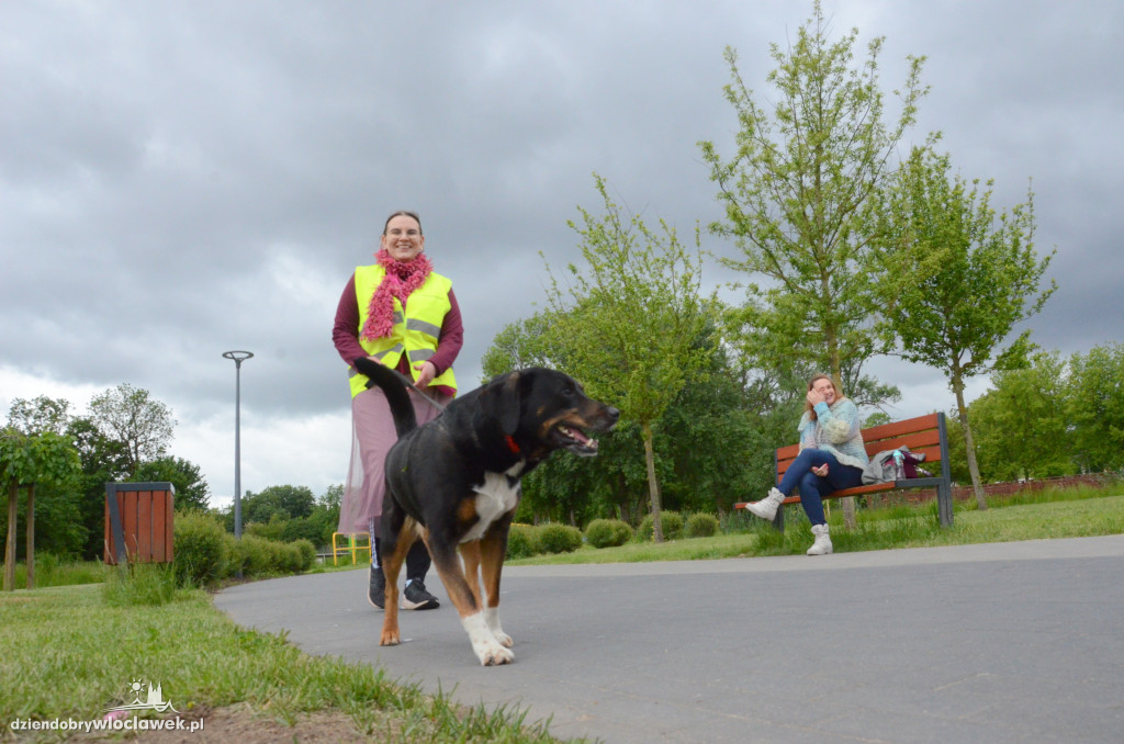 3. urodziny parkrunu we Włocławku