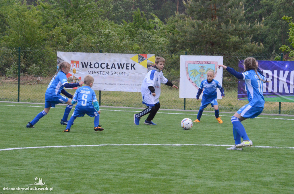 Strikas Włocławek vs Urzędnicy