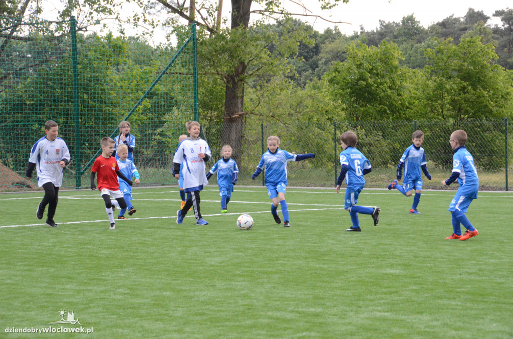 Strikas Włocławek vs Urzędnicy