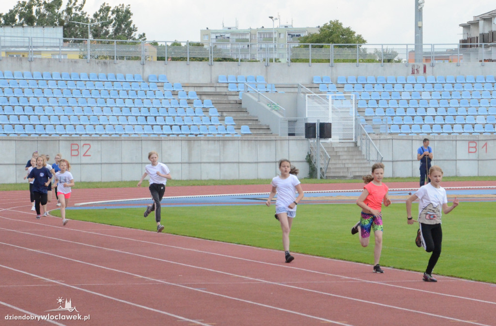 Sprawny Miś na stadionie OSiR