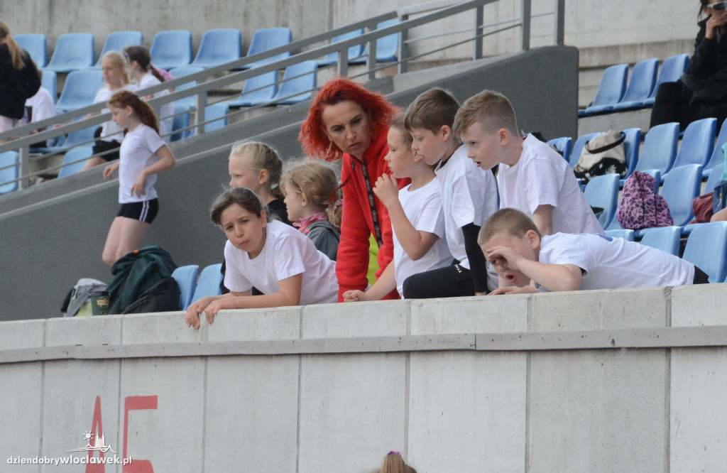 Sprawny Miś na stadionie OSiR