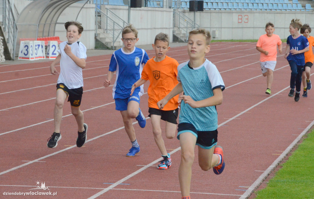 Sprawny Miś na stadionie OSiR