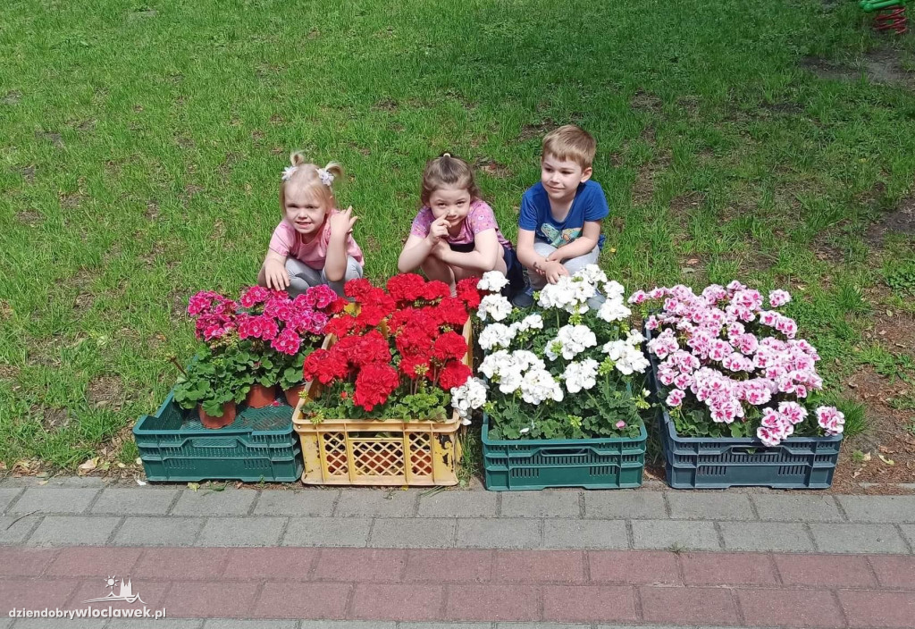 Konkurs `Kwiatek za makulaturę` zakończony