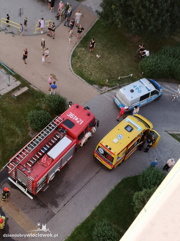 Pożar śmietnika Wiejska 18