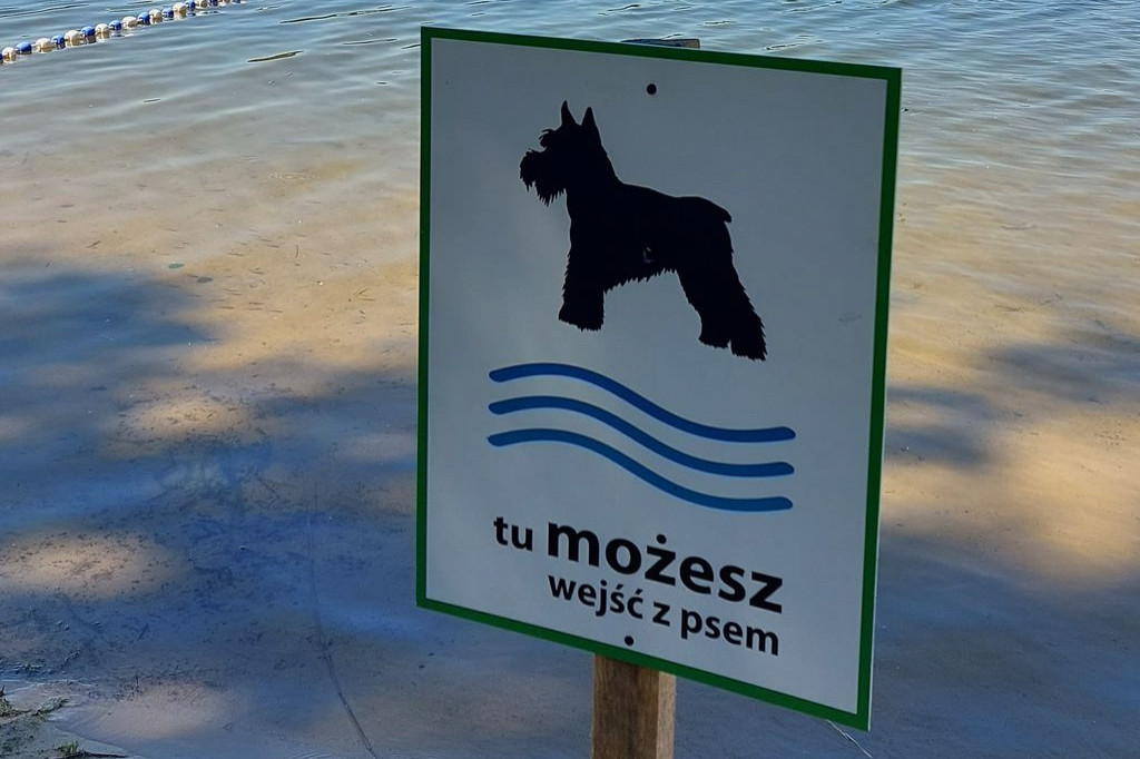 Kąpielisko dla psów na Wikaryjce