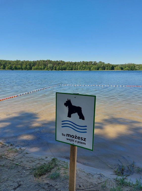 Kąpielisko dla psów na Wikaryjce